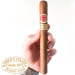 Charuto Romeo y Julieta Churchills são caetano do sul